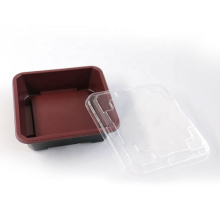 Wholesale disposable plastic lunch box with lids for food packaging